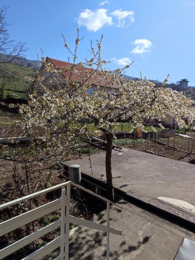 Apartman Bor Livno Buitenkant foto