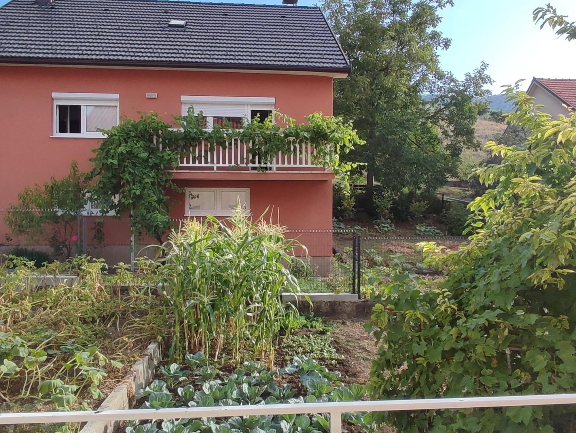 Apartman Bor Livno Buitenkant foto